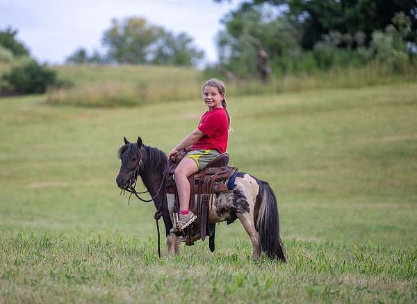 kid-safe-pony