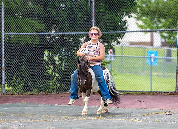 trail-pony