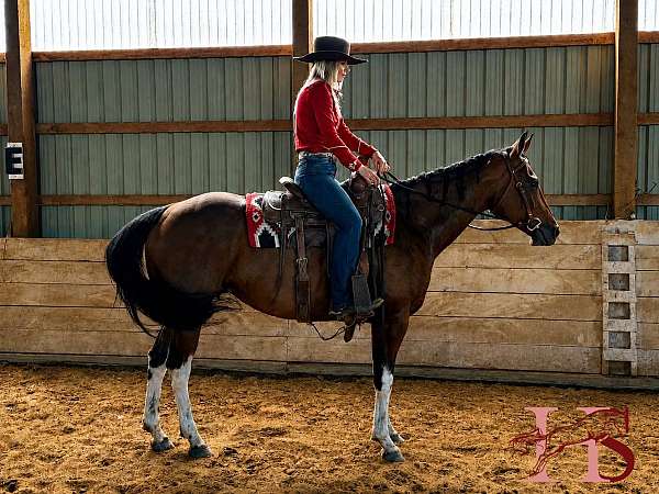 white-spot-on-left-hindquarter-horse