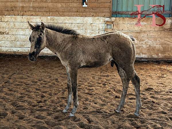 chromed-paint-horse