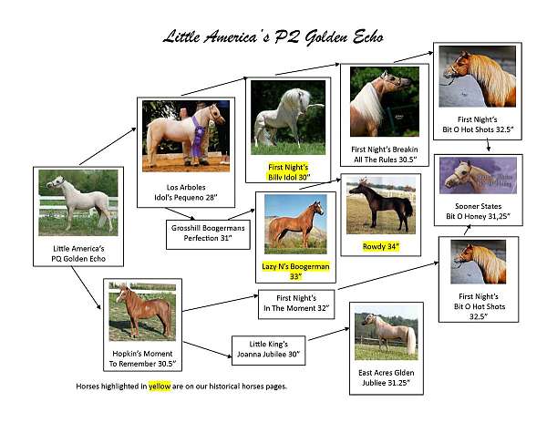 palomino-wht-blaze-horse