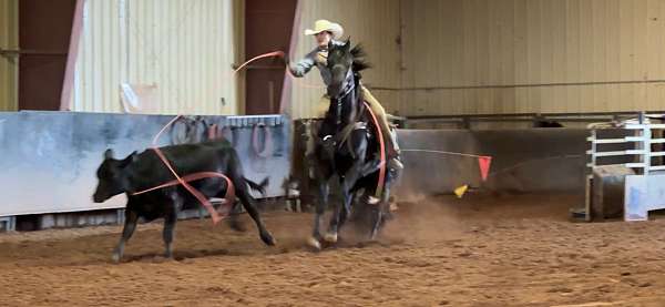 breakaway-rope-horse