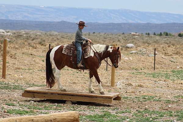 kid-safe-draft-horse