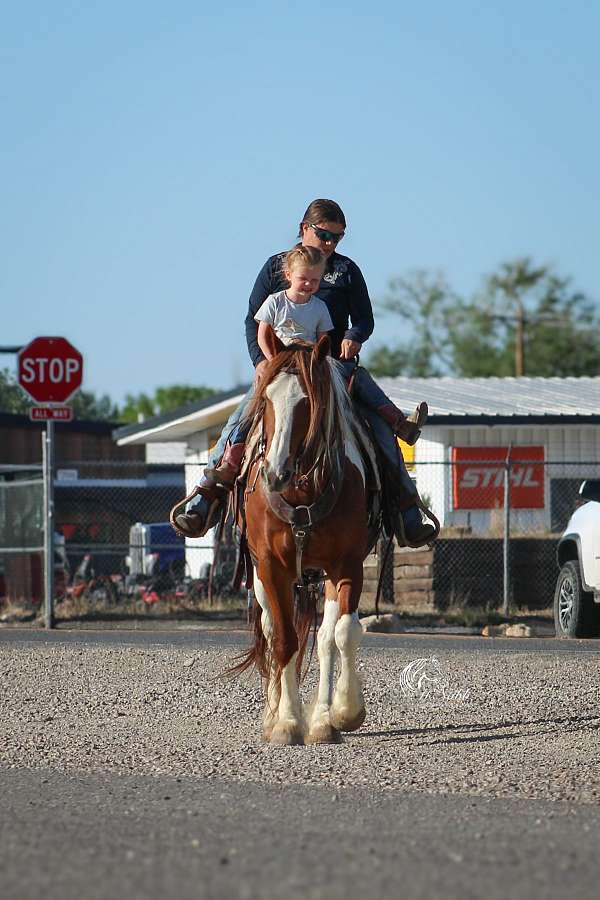 ranch-draft-horse