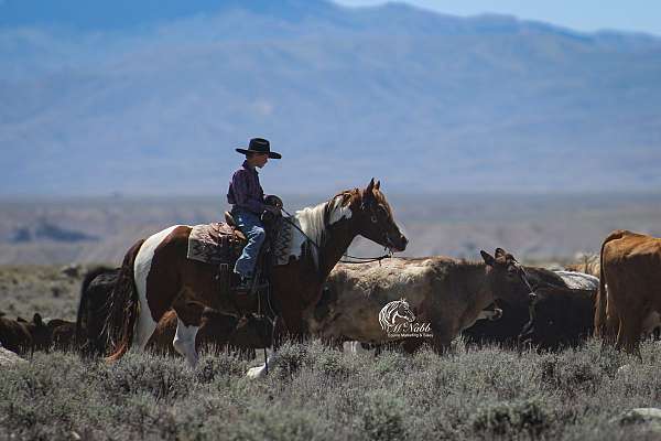 trail-riding-draft-horse