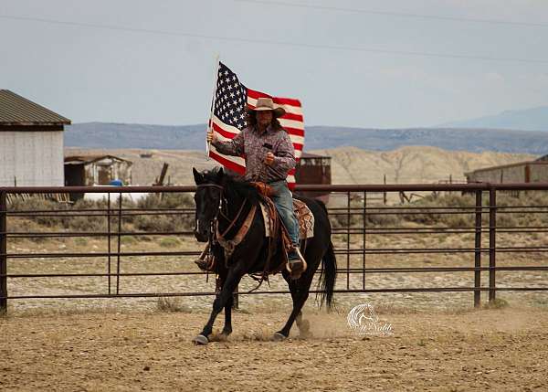 kid-safe-quarter-horse