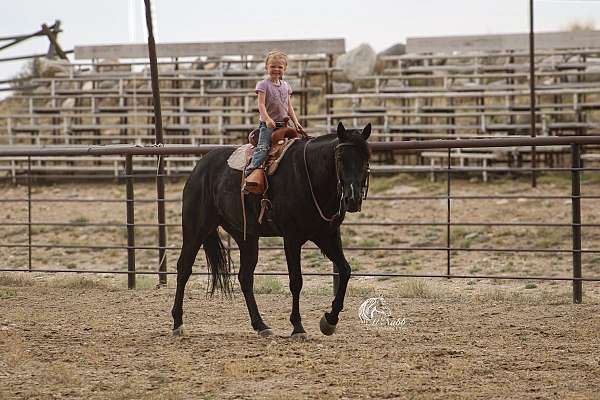ranch-versatility-quarter-horse