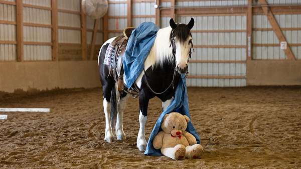 husband-safe-draft-horse