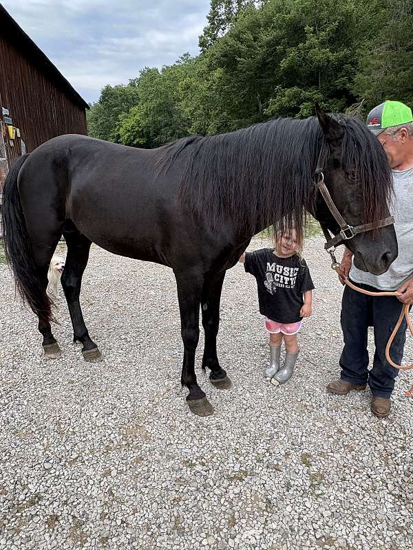 none-horse