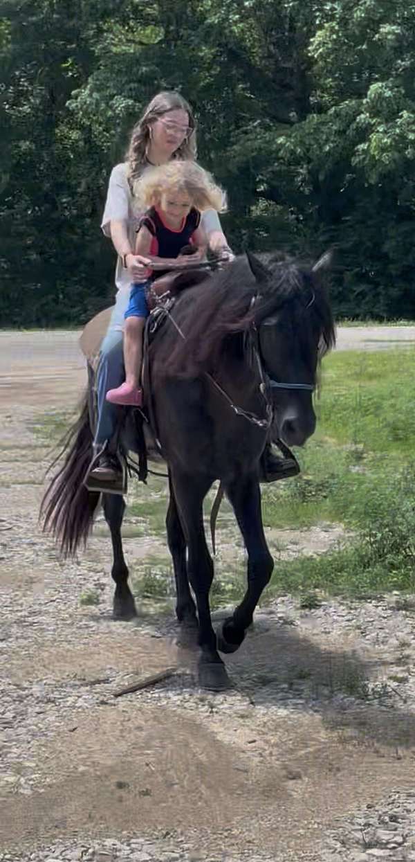 black-none-horse