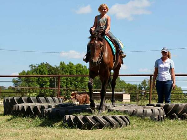 kid-safe-thoroughbred-horse