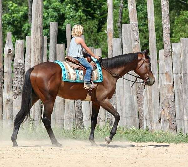 ranch-versatility-thoroughbred-horse