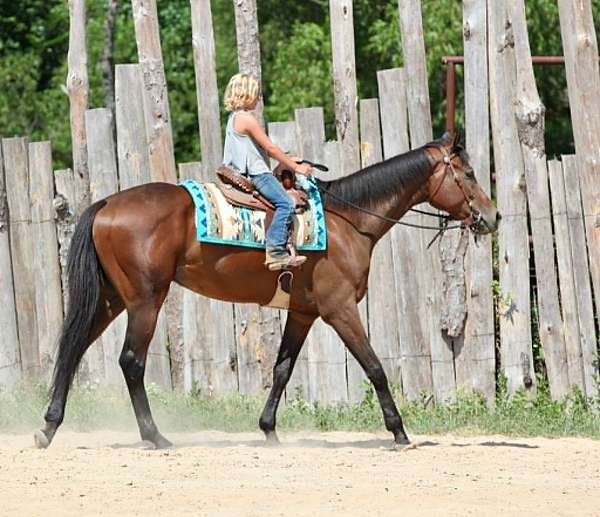 ranch-work-thoroughbred-horse