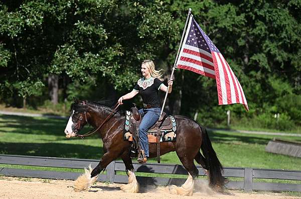 draft-gypsy-vanner-horse