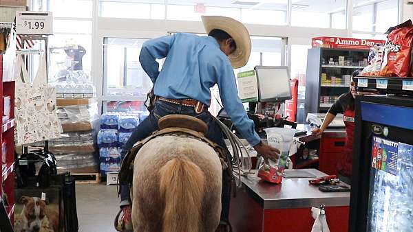 ranch-pony