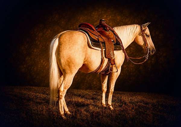 trail-riding-quarter-horse