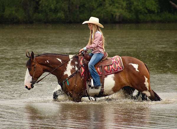 youth-shire-horse