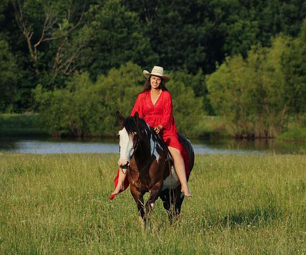 cross-shire-horse