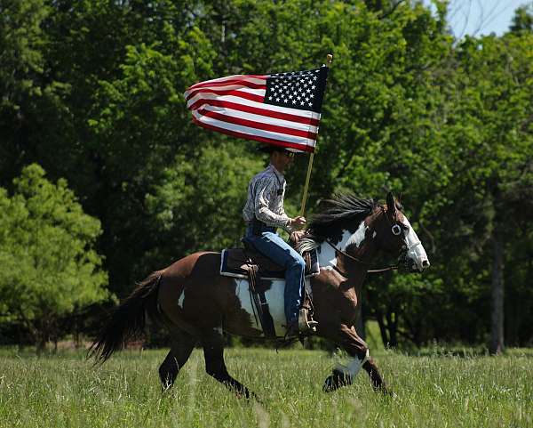 ranch-work-shire-horse