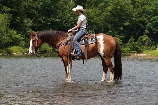 athletic-paint-horse