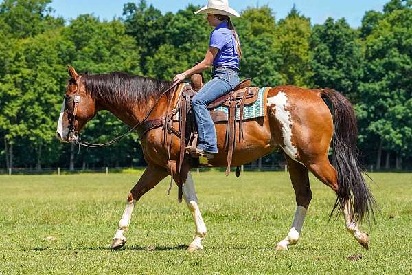 husband-safe-paint-horse