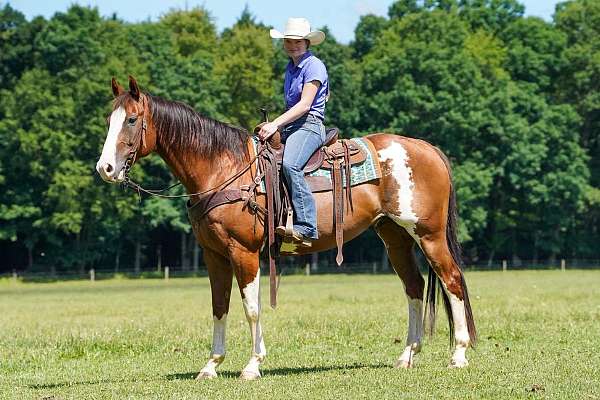 kid-safe-paint-horse