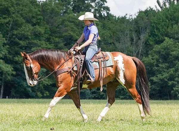 ranch-versatility-paint-horse