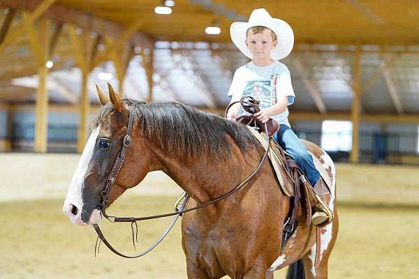 roping-paint-horse