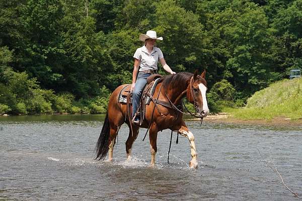 trail-riding-paint-horse