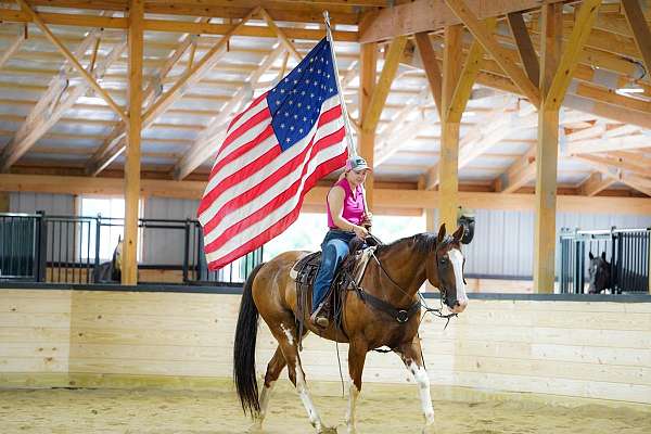 western-riding-paint-horse