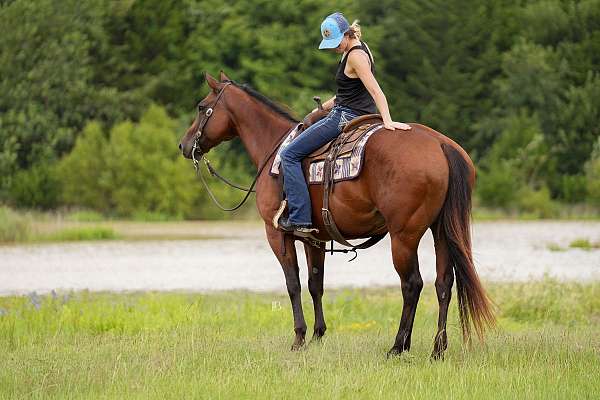 athletic-quarter-pony