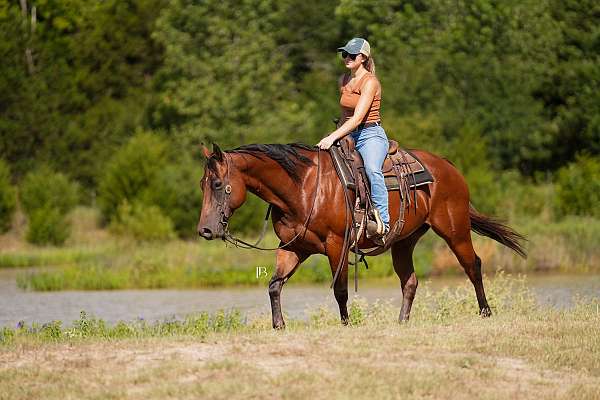 ranch-versatility-quarter-pony