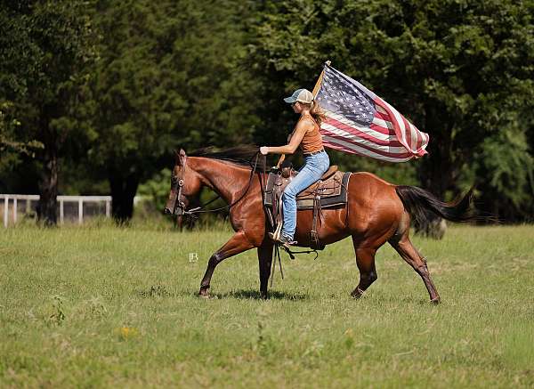 ranch-work-quarter-pony
