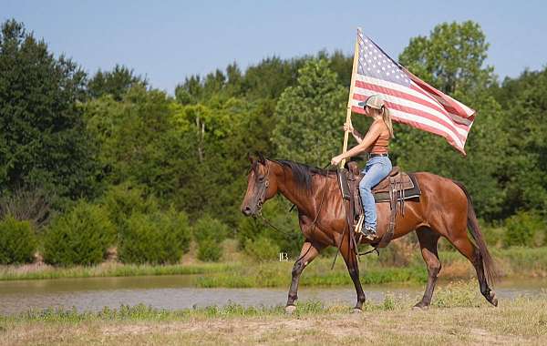 trail-riding-quarter-pony