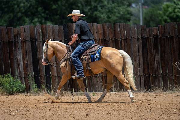 athletic-quarter-pony