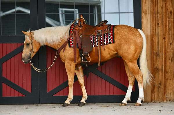 ranch-quarter-horse
