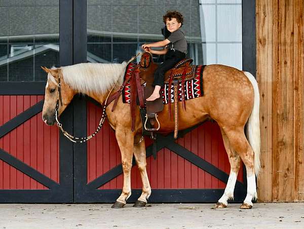 ranch-versatility-quarter-horse