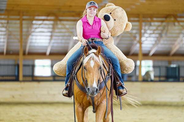 roping-quarter-horse