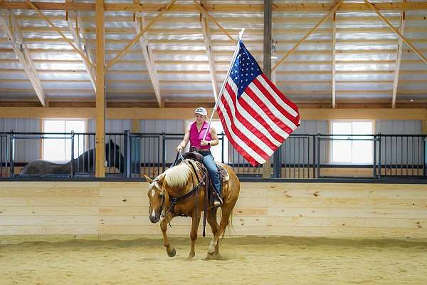 trail-riding-quarter-horse