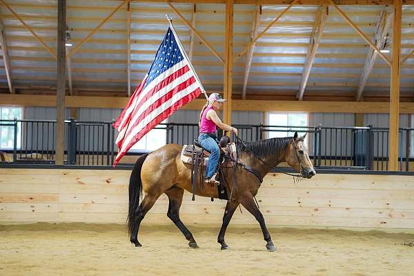 beginner-quarter-horse