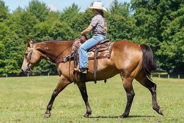 kid-safe-quarter-horse