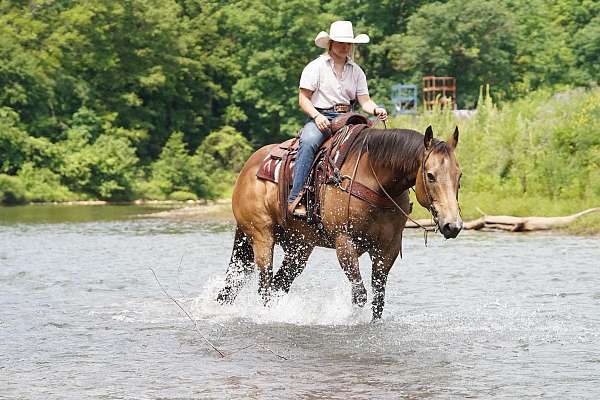 ranch-quarter-horse