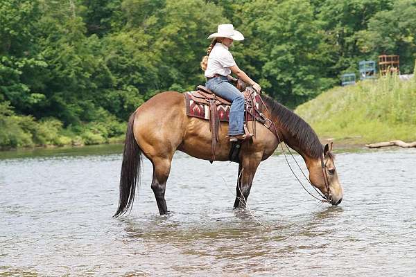 ranch-versatility-quarter-horse