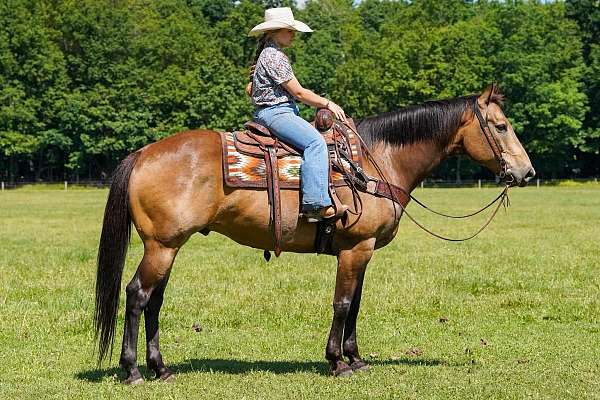 roping-quarter-horse