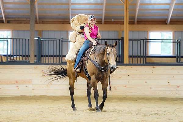 western-riding-quarter-horse