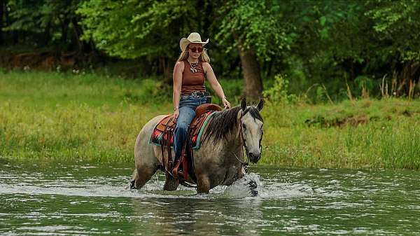 flashy-quarter-horse
