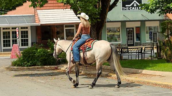 ranch-work-quarter-horse