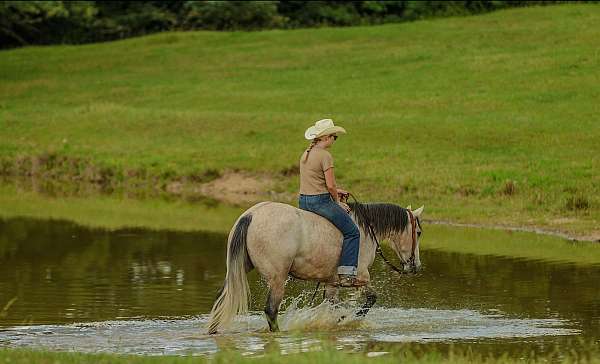 western-riding-quarter-horse