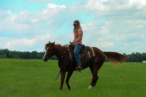 ranch-work-quarter-horse