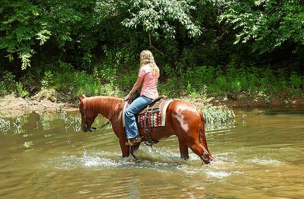 ranch-versatility-quarter-horse